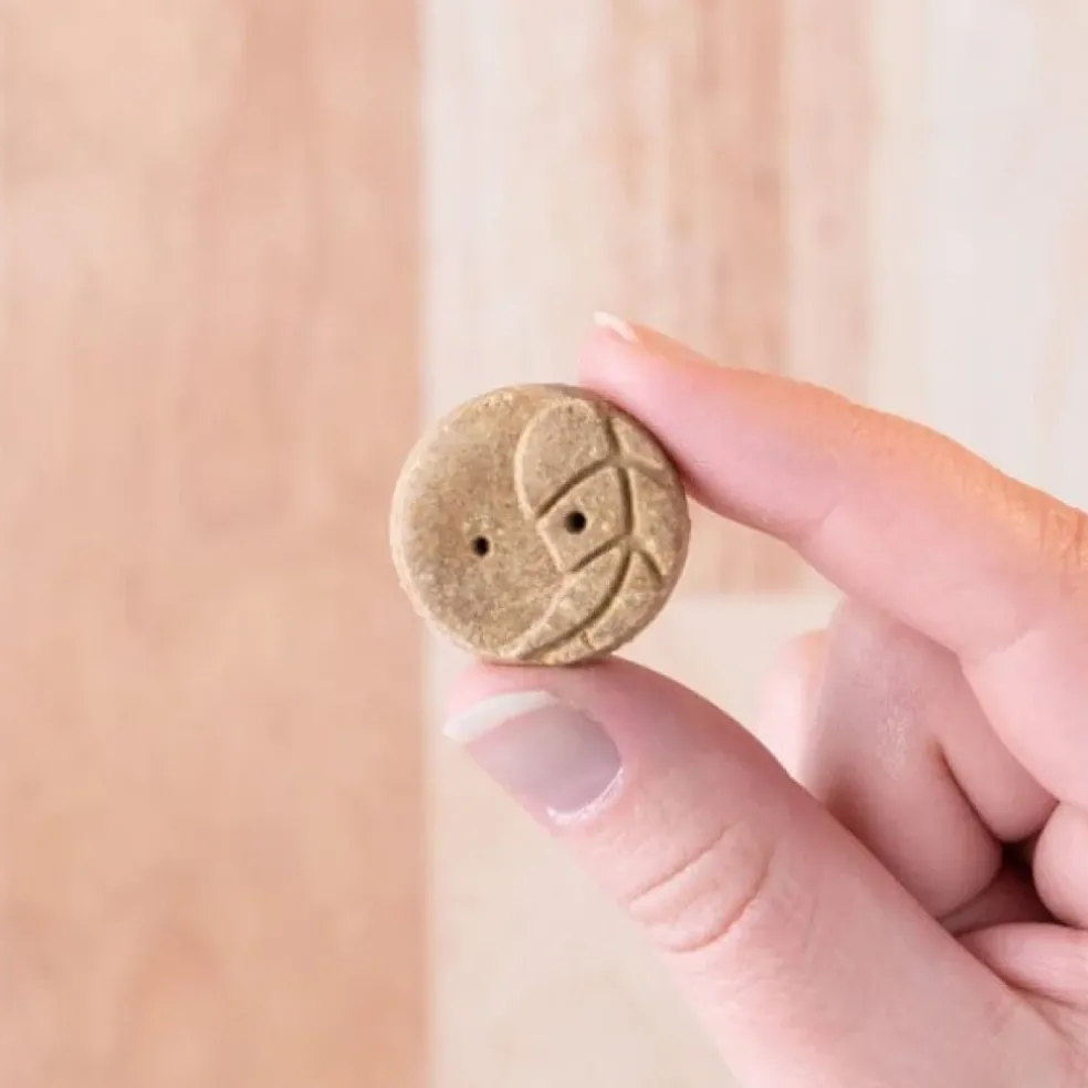 Earthborn Holistic EarthBites Turkey & Pumpkin Crunchy Dog Treats