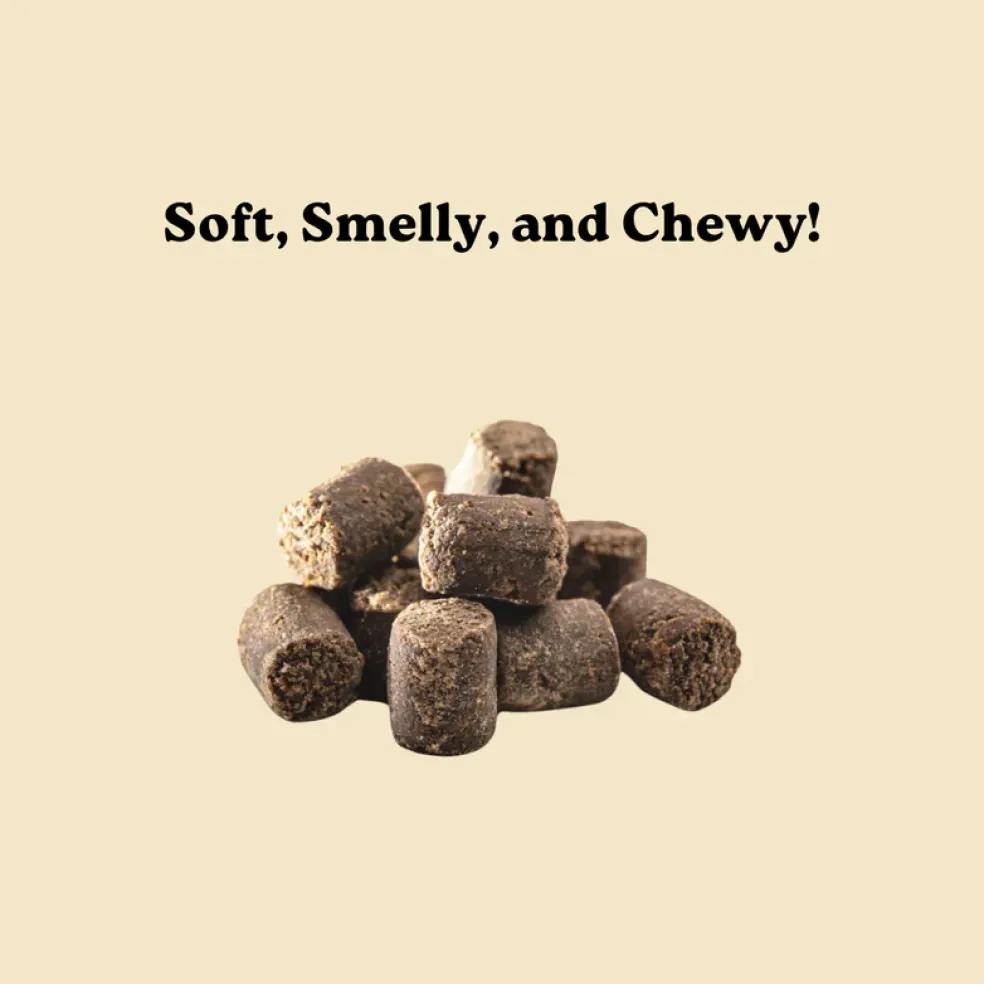 Earthly Off Leash Mini Trainers Smokey Beef Recipe Dog Treats (5 oz)