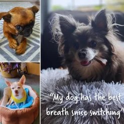 Earthly Pet Earthbones Dental Chews for Dogs