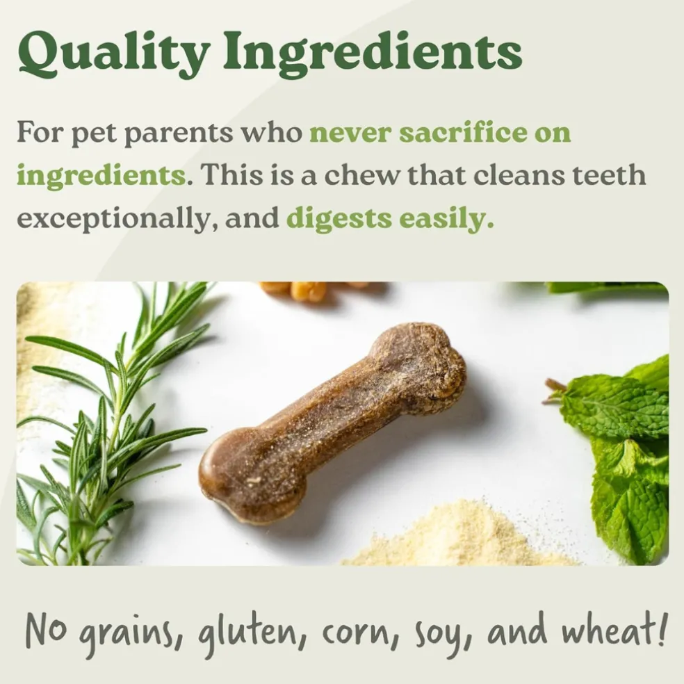 Earthly Pet Earthbones Dental Chews for Dogs