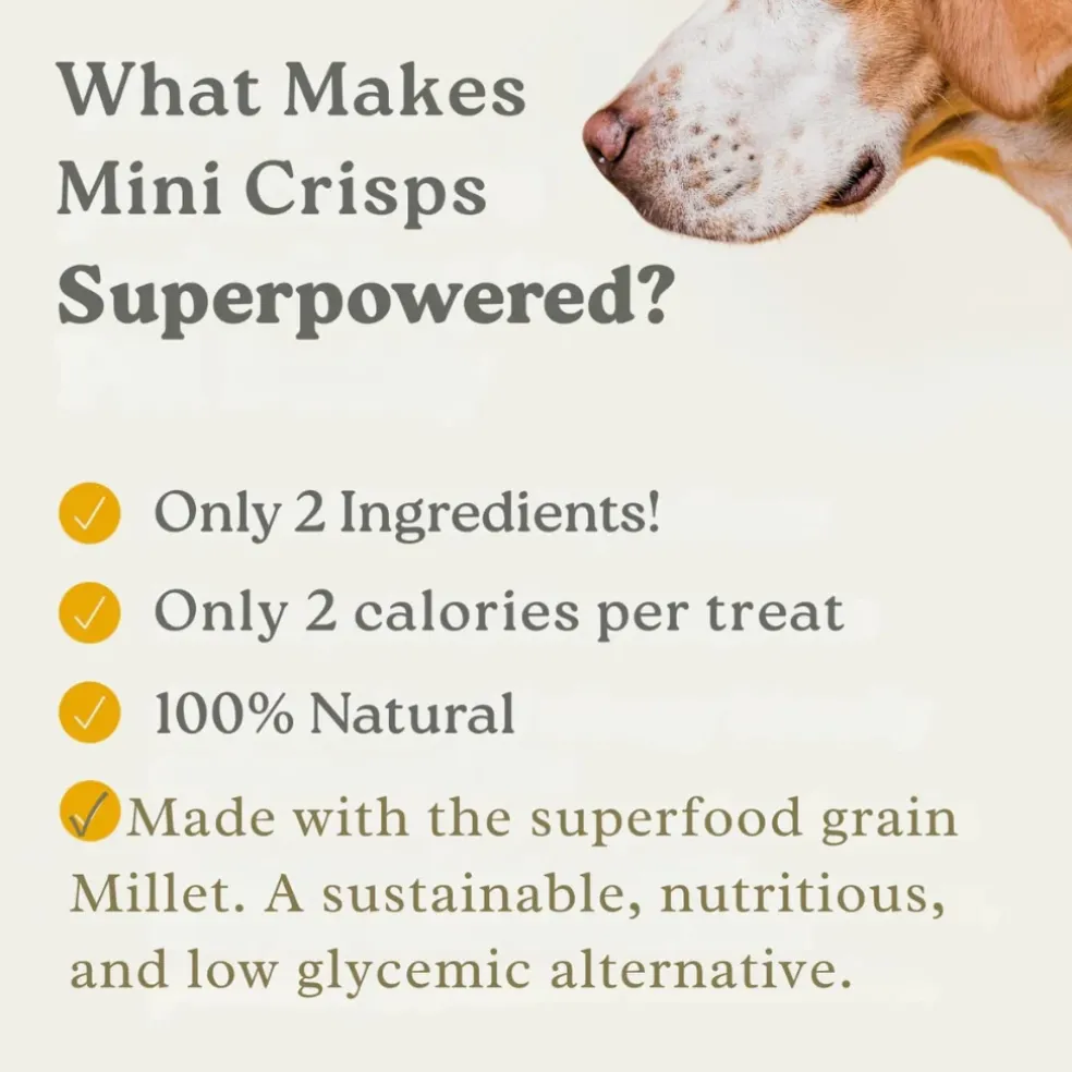 Earthly Pet Mini Crisps Air Puffed Millet & Beef Dog Treats (2.5 oz)