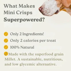 Earthly Pet Mini Crisps Air Puffed Millet & Pork Dog Treats (2.5 oz)
