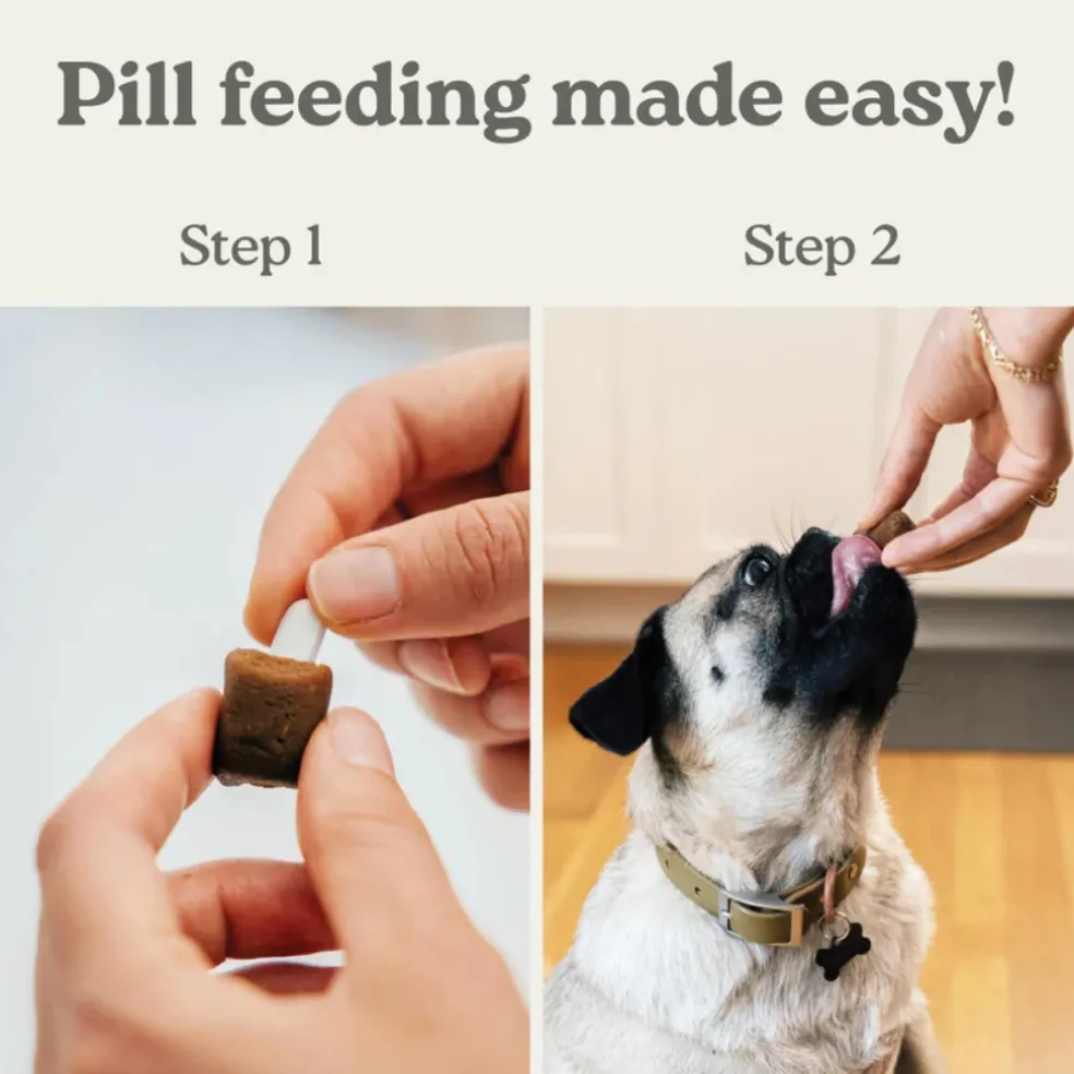 Earthly Pet Pill Buddy Naturals Pill Hiding Treats for Dogs