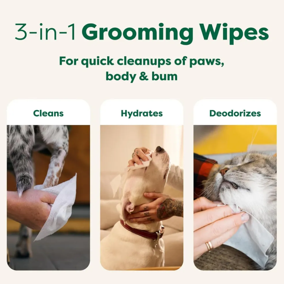 Earth Rated Hypoallergenic Dog Grooming Wipes, White Tea & Basil Scented (100 count)