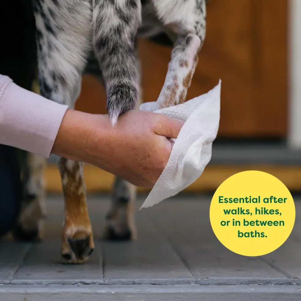Earth Rated Hypoallergenic Dog Grooming Wipes, Unscented (100 count)