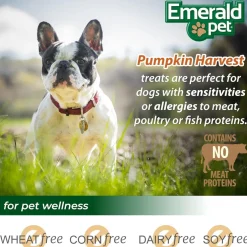 Emerald Pet Pumpkin Harvest Mini Trainers Pumpkin Recipe with Mixed Berry Dog Treats, 6-oz