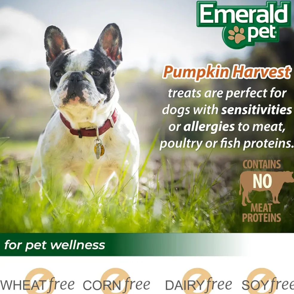 Emerald Pet Pumpkin Harvest Mini Trainers Pumpkin Recipe with Mixed Berry Dog Treats, 6-oz