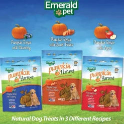 Emerald Pet Pumpkin Harvest Oven Baked with Sweet Potato Chewy Dog Treats, 6-oz
