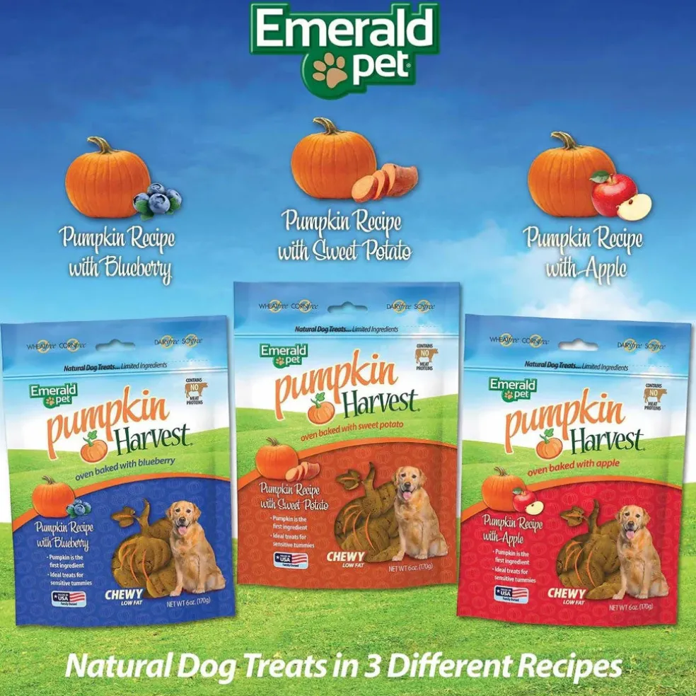Emerald Pet Pumpkin Harvest Oven Baked with Sweet Potato Chewy Dog Treats, 6-oz