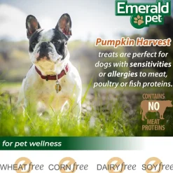 Emerald Pet Pumpkin Harvest Oven Baked with Blueberry Chewy Dog Treats, 6-oz