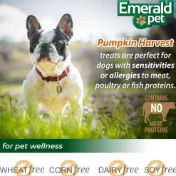 Emerald Pet Pumpkin Harvest Oven Baked with Apple Chewy Dog Treats, 6-oz