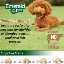 Emerald Pet Pumpkin Harvest Oven Baked with Apple Chewy Dog Treats, 6-oz