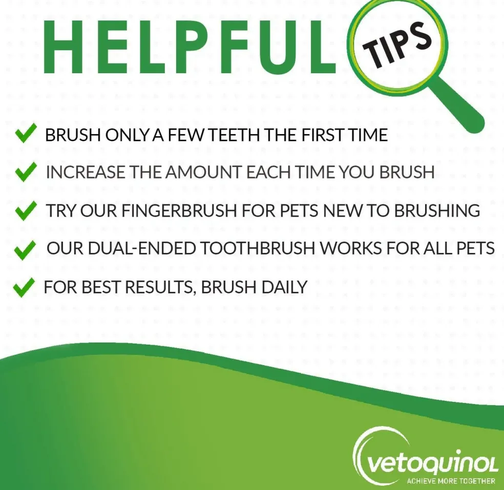 Enzadent Enzymatic Poultry-Flavored Toothbrush Kit for Dogs & Cats