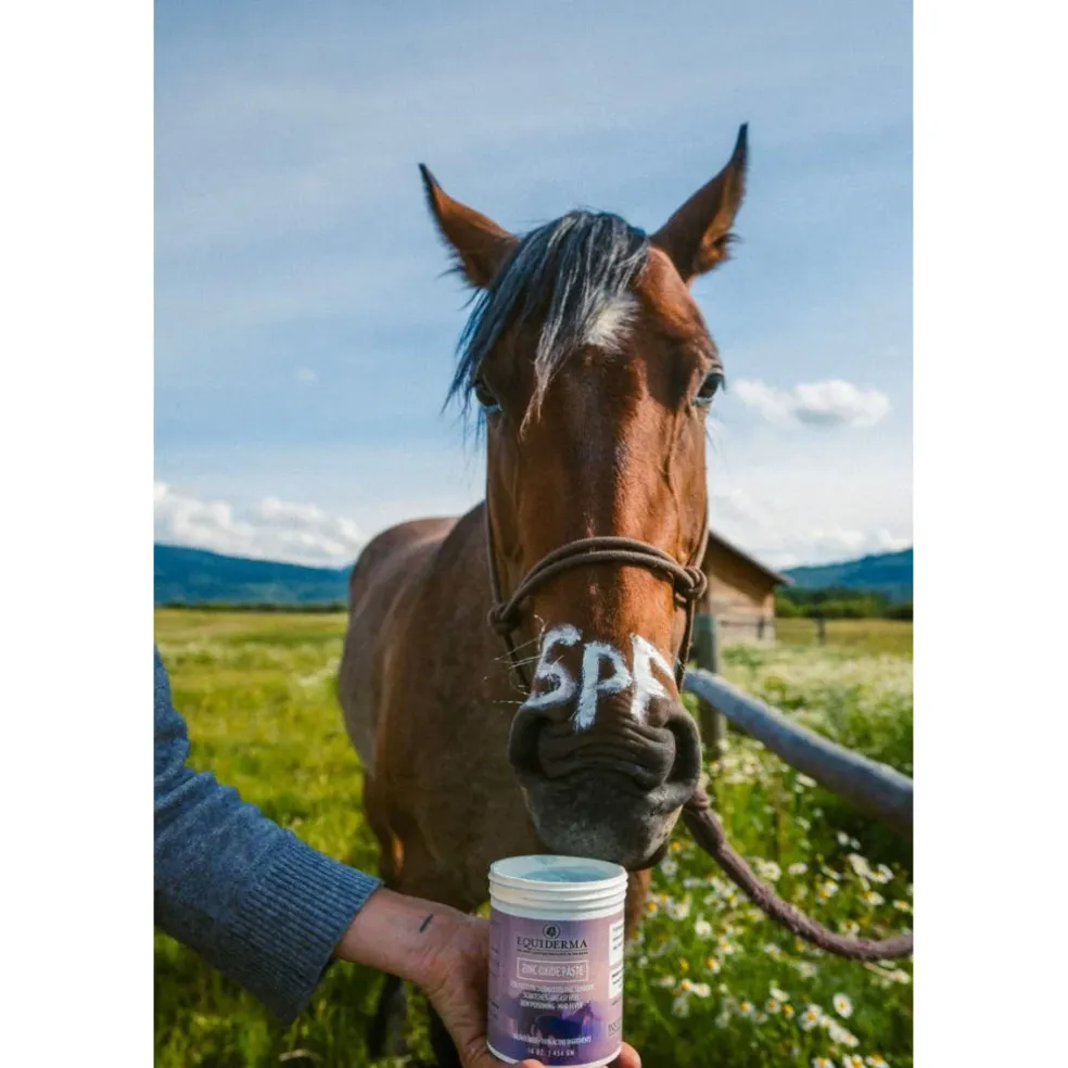 Equiderma Zinc Oxide Paste For Horses (16 oz)