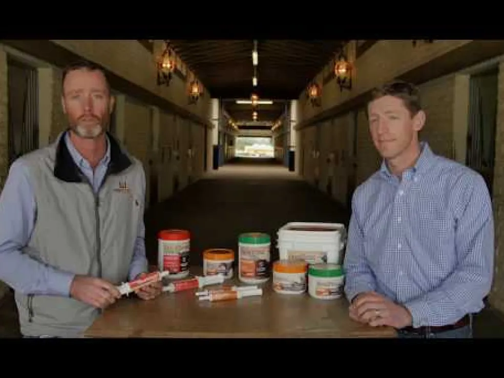 Equine ADD BioClay Plus (single tube)