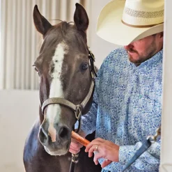 Equine Probiotic Paste (single)