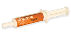 Equine Probiotic Paste (10 tubes)