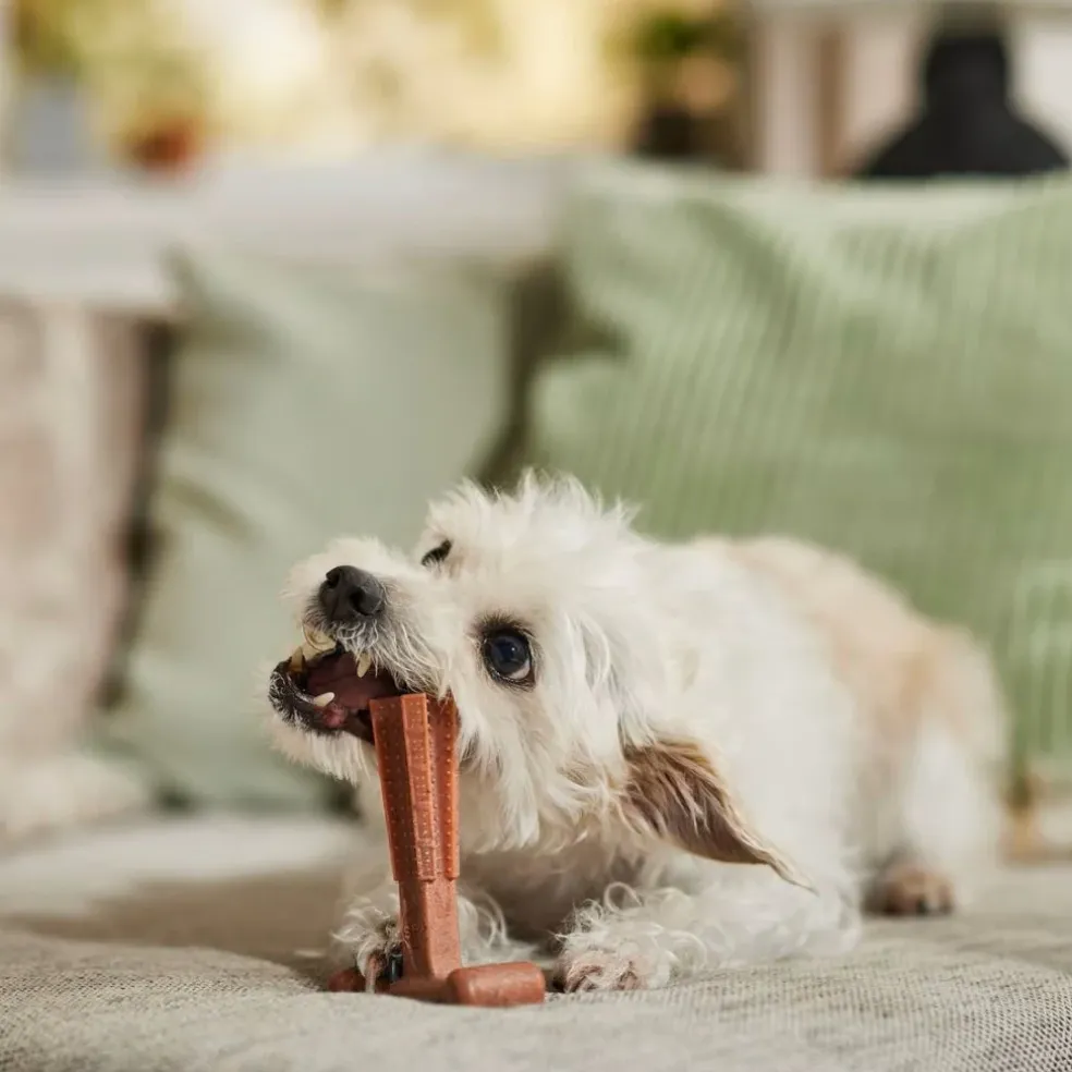 Ethical Bambone Plus Beef Toy For Dogs