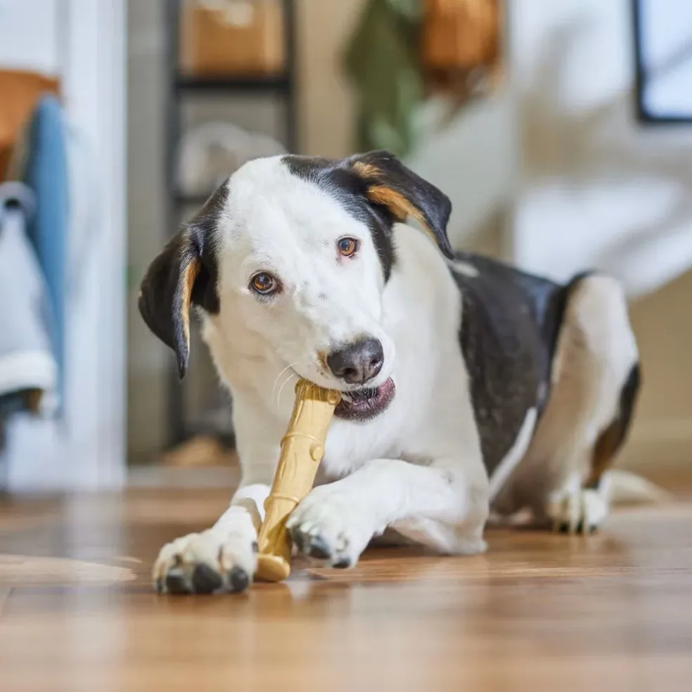 Ethical Bambone Plus Stick Chicken Toy For Dogs (9.5")