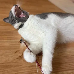 Ethical Fishing Rod N Reel Kitty Teaser Toy For Cats