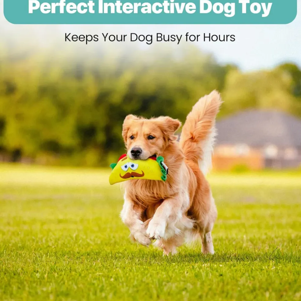 Ethical Fun Food Taco Toy For Dog (Small)