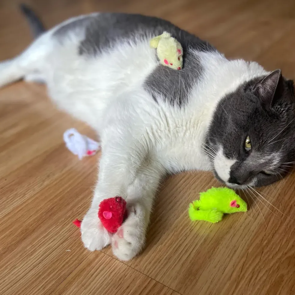 Ethical Fur Mice Assorted Colors Toy For Cats