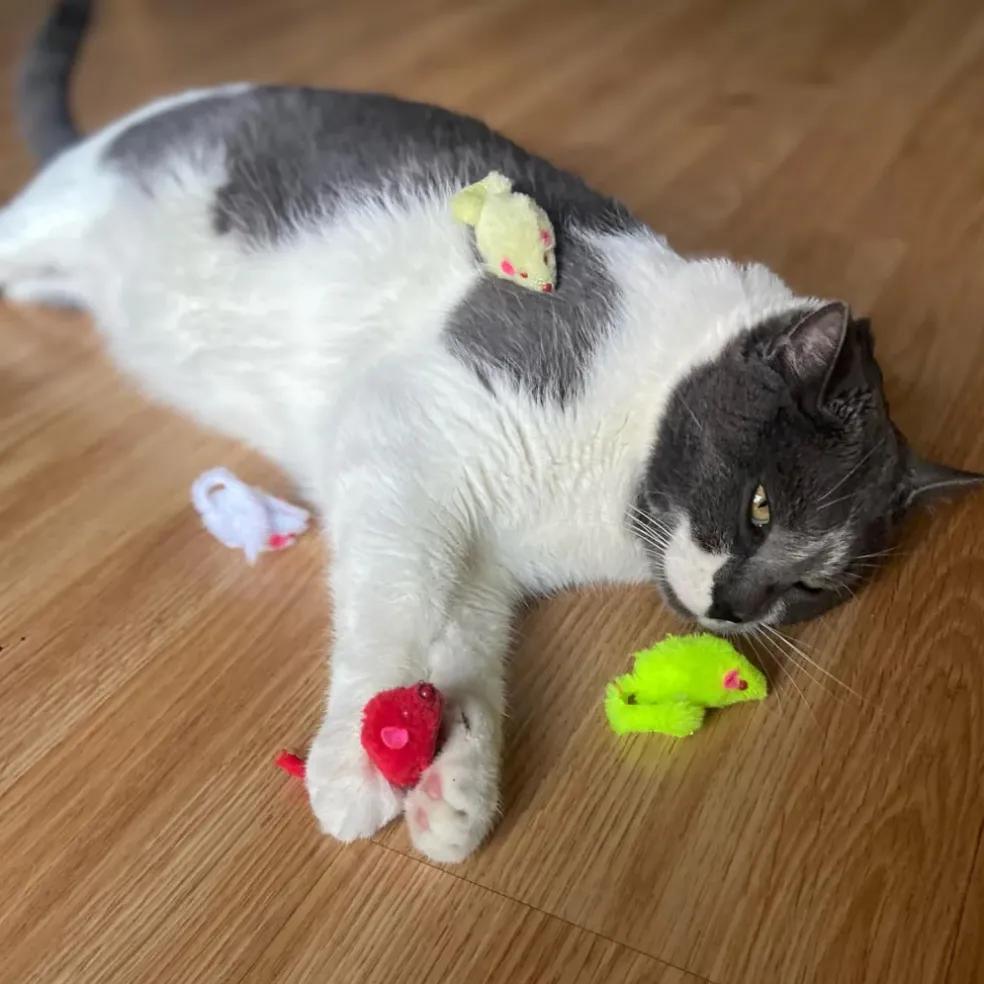 Ethical Fur Mice Assorted Colors Toy For Cats