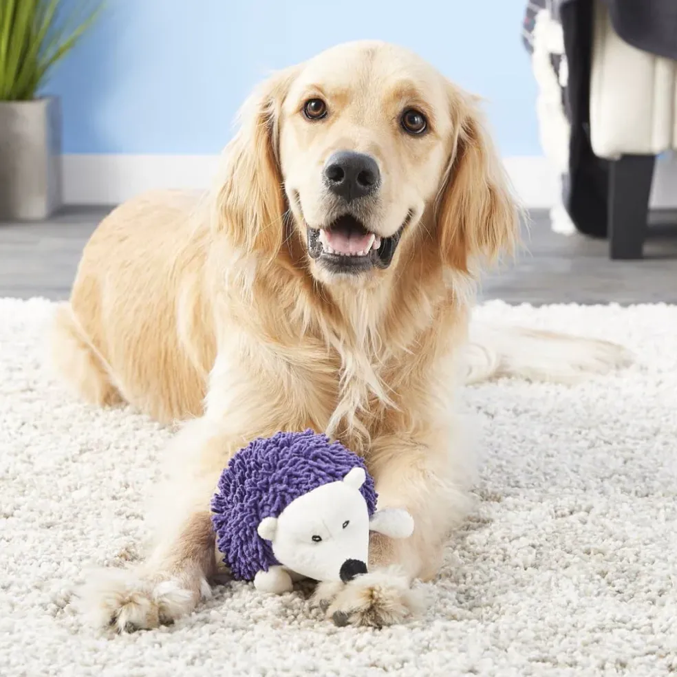 Ethical Giggler Plush Hedgehog Dog Toy, Assorted Colors