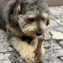 Ethical Pet Bam-bones Bacon Flavored Wish Bone for Dogs