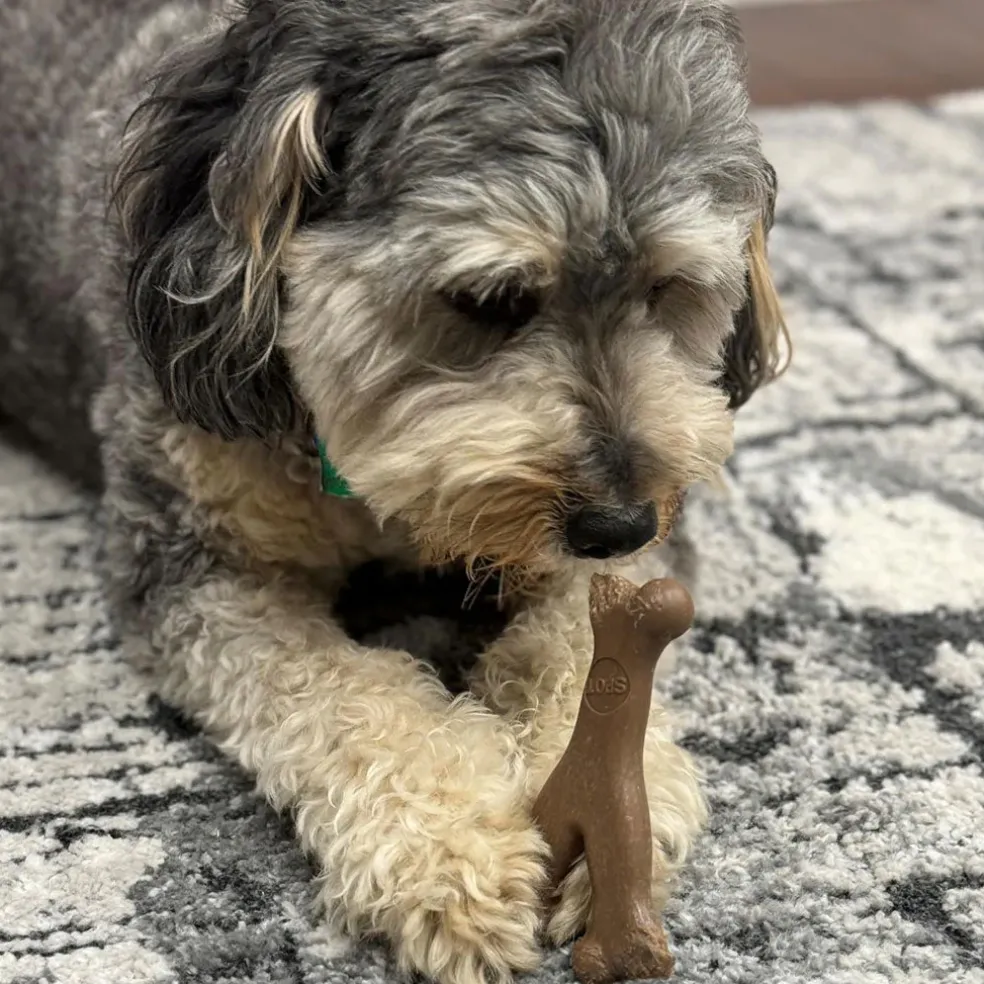 Ethical Pet Bam-bones Bacon Flavored Wish Bone for Dogs