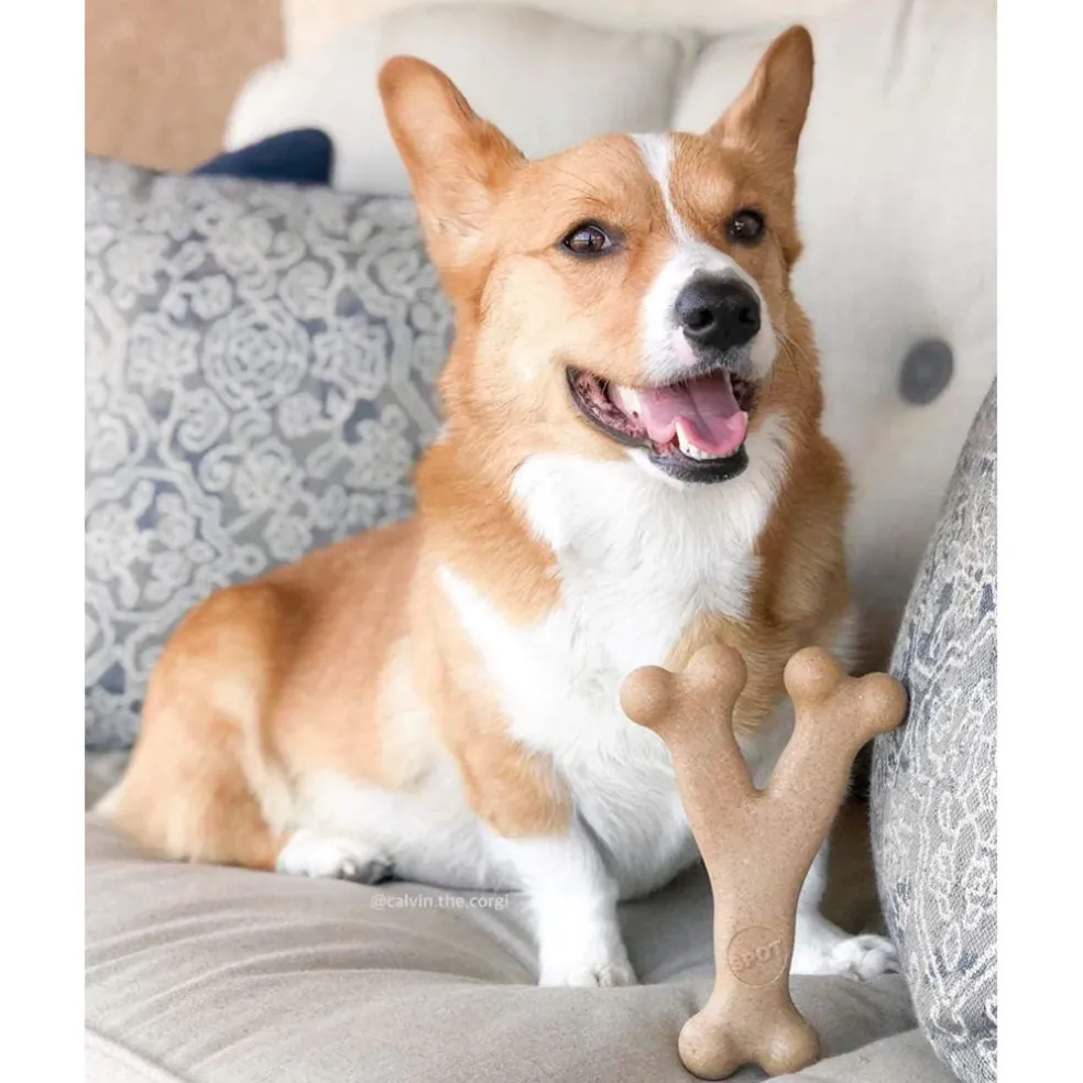 Ethical Pet Bam-bones Bacon Flavored Wish Bone for Dogs