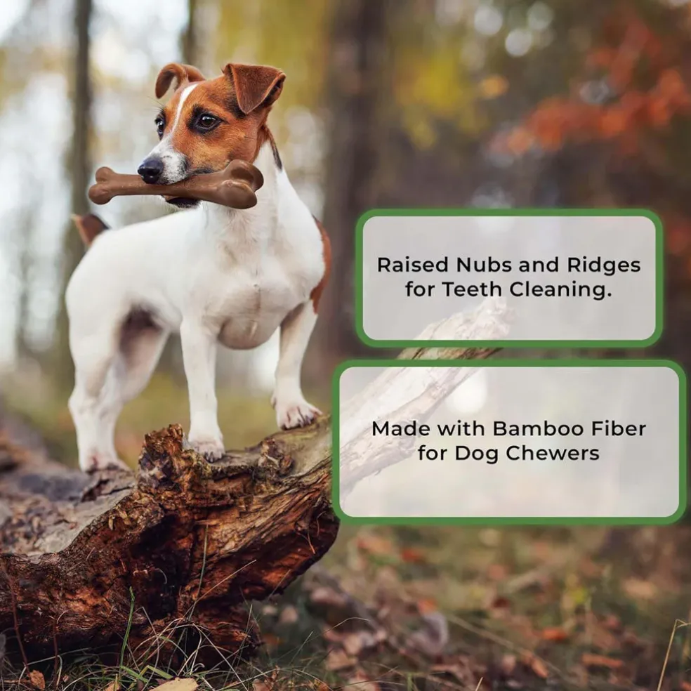Ethical Pet Bam-Bones Bacon Flavor Chew Toy for Dogs