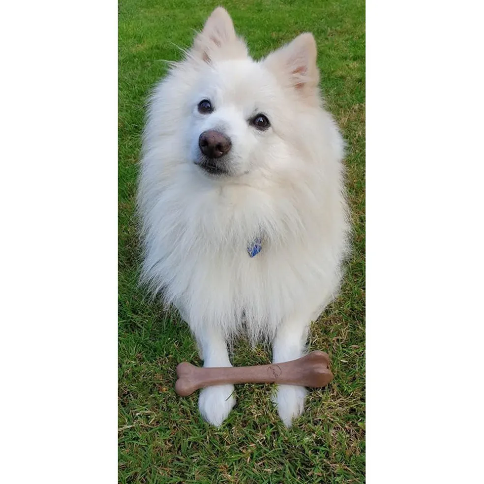 Ethical Pet Bam-Bones Bacon Flavor Chew Toy for Dogs