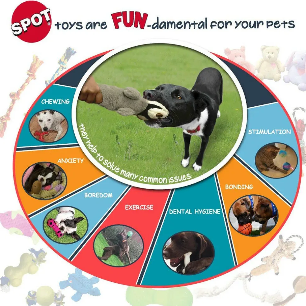 Ethical Pet Bam-Bones Chicken Flavor Chew Toy for Dogs