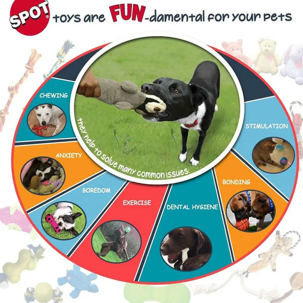 Ethical Pet Bam-bones Chicken Flavored Wish Bone for Dogs