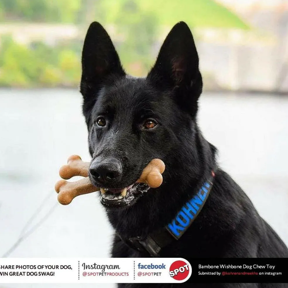 Ethical Pet Bam-bones Chicken Flavored Wish Bone for Dogs