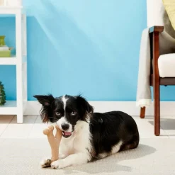 Ethical Pet Bam-bones Chicken Flavored Wish Bone for Dogs