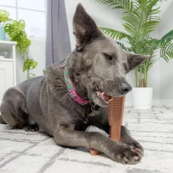 Ethical Pet Bam-Bones Plus Peanut Butter Tough Chew Dog Toy