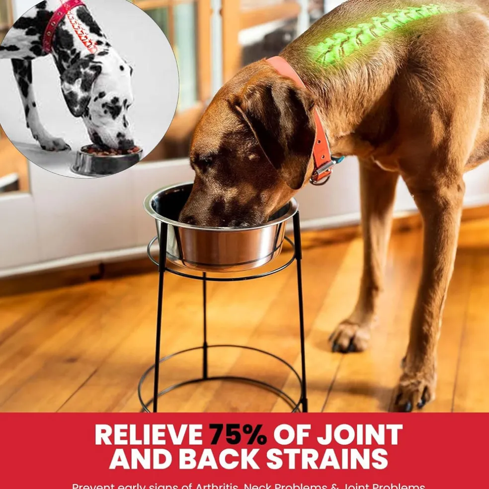 Ethical Pet Hi-Rise Single Diner 2-QT