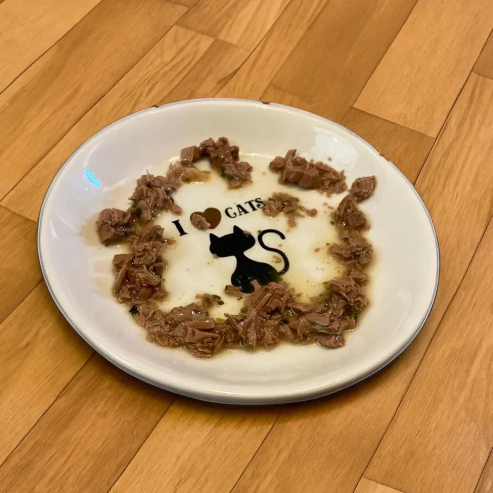Ethical Pet I Love Cats Cat Saucer, 5"