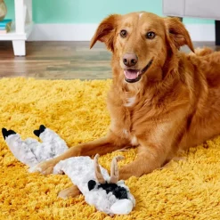Ethical Pet Skinneeez Crinklers Goat Stuffing-Free Squeaky Plush Dog Toy