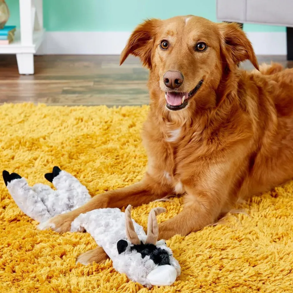 Ethical Pet Skinneeez Crinklers Goat Stuffing-Free Squeaky Plush Dog Toy