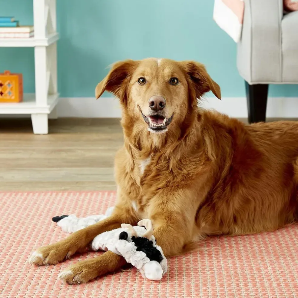 Ethical Pet Skinneeez Crinklers Goat Stuffing-Free Squeaky Plush Dog Toy