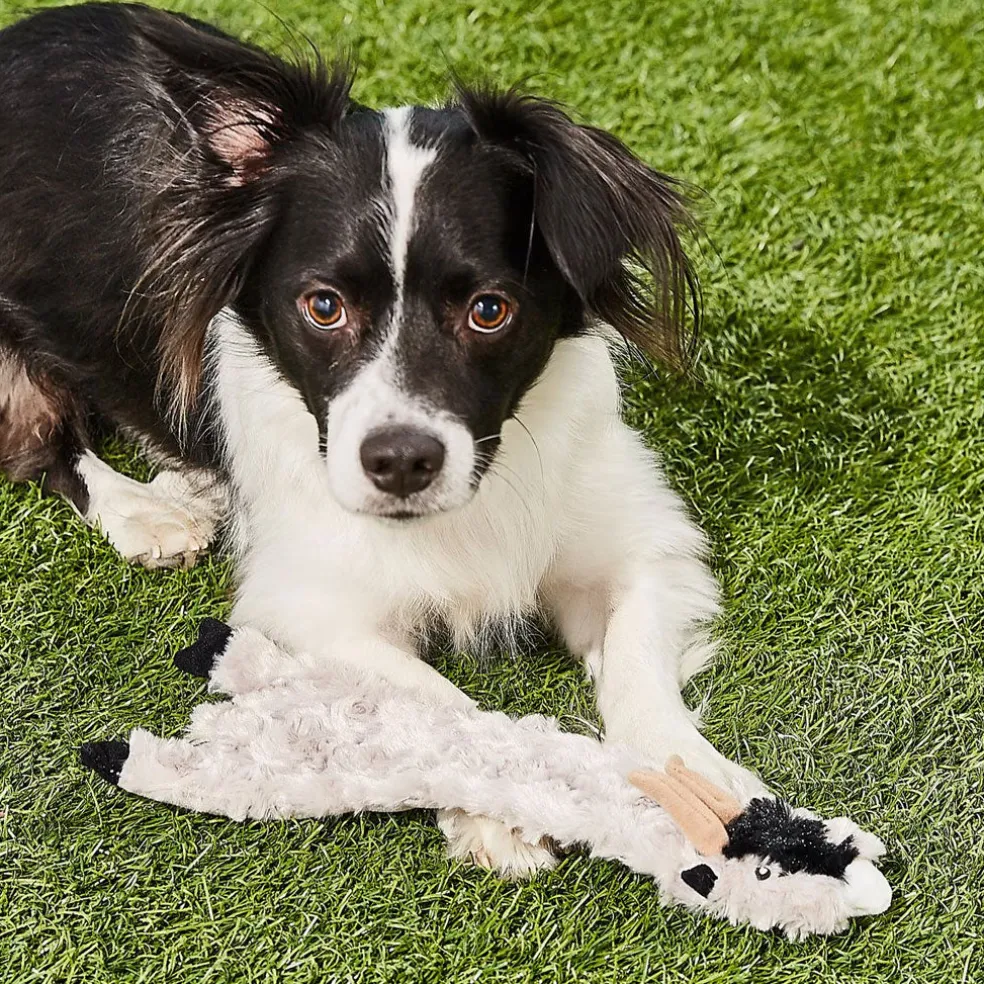 Ethical Pet Skinneeez Crinklers Goat Stuffing-Free Squeaky Plush Dog Toy