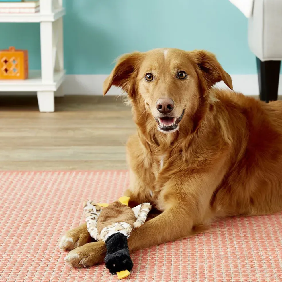 Ethical Pet Skinneeez Crinklers Bird Stuffing-Free Squeaky Plush Dog Toy, Assorted
