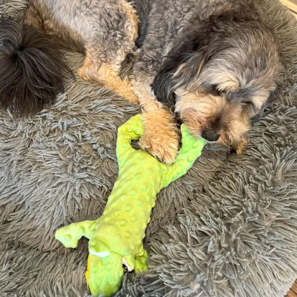 Ethical Pet Skinneeez Extreme Stuffer Frog Toy for Dogs 14"