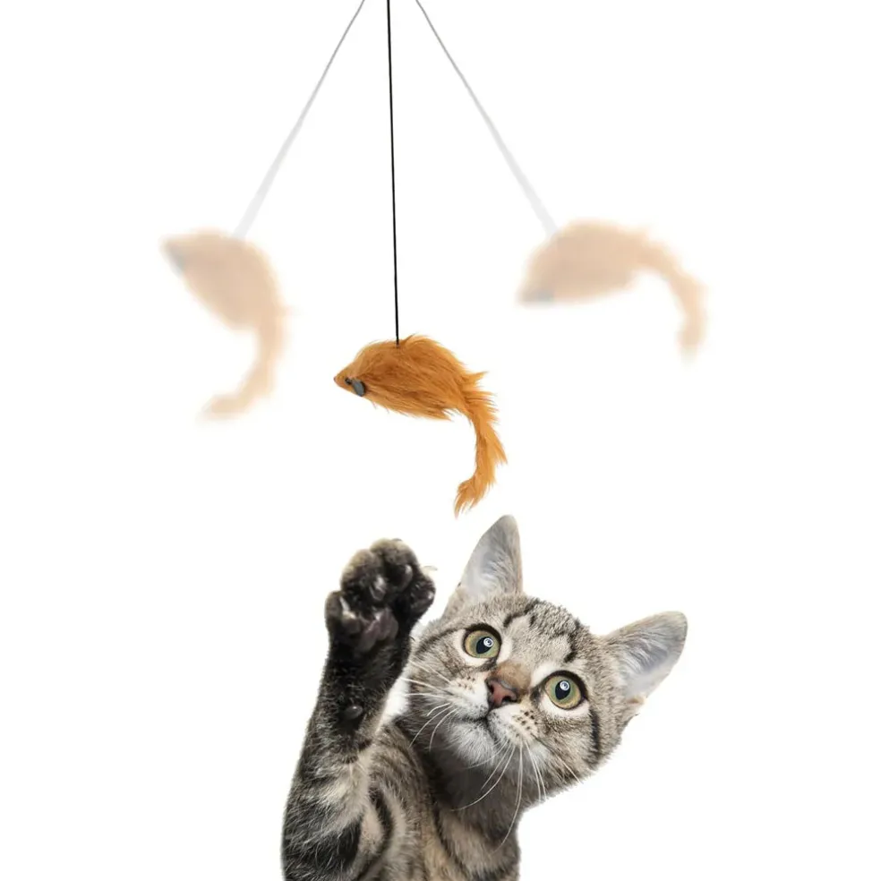 Ethical Pet Spot A-Door-Able Bouncing Mouse Catnip Toy, Assorted