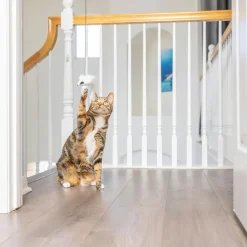 Ethical Pet Spot A-Door-Able Bouncing Mouse Catnip Toy, Assorted
