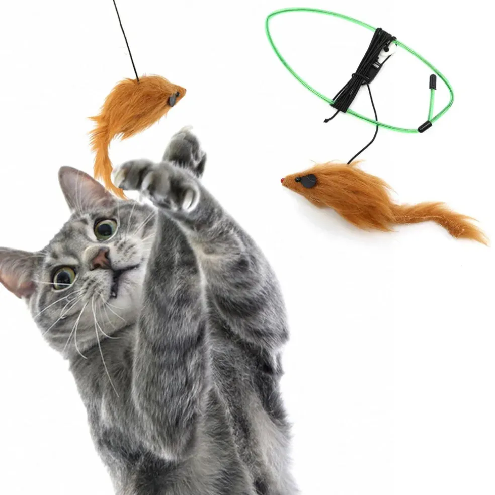 Ethical Pet Spot A-Door-Able Bouncing Mouse Catnip Toy, Assorted