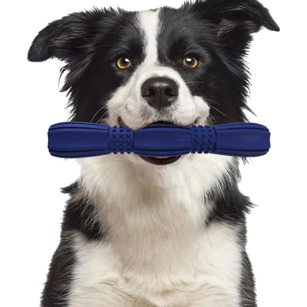 Ethical Pet Spot Barrett Tough Retriever Dog Toy 9.5"